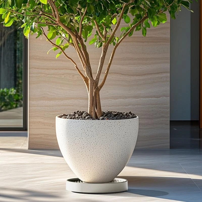 Plateau plante intérieure polyvalente avec roues Plate fleur Taclé Abs Texture D2rd