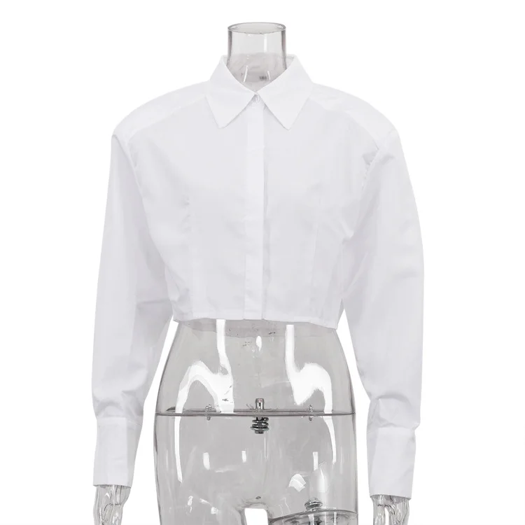 レディース ルーズ ファッション シャツ シンプル 秋 通勤 スリムフィット 襟付き ショートブラウス 長袖 多用途 ラウンドネック トップス