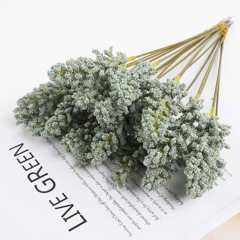 6 Stück 32 cm Ähre Qualität natürliche getrocknete Blumen Kaninchenschwanz Pampas Reed getrockneter Blumenstrauß Hochzeit Party Dekoration Pflanzen ﻿ – Detail 8