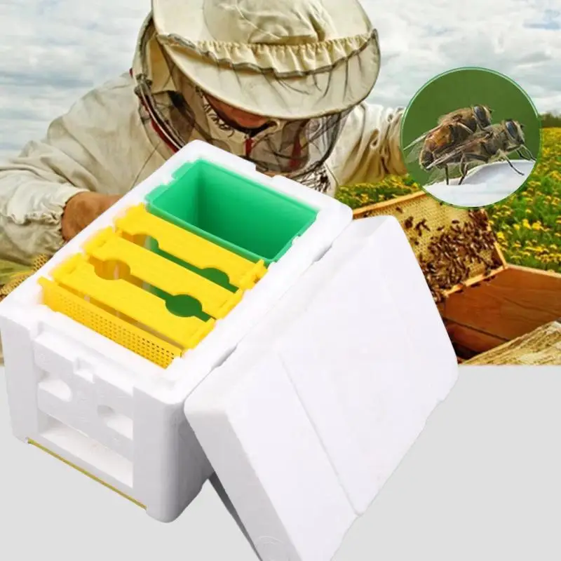 1Pcs Queen Bee Breeding Box Bee Mating Box Foam Bee Hive Box Beekeeper Garden Pollination Breeding Case Beekeeping Equipment