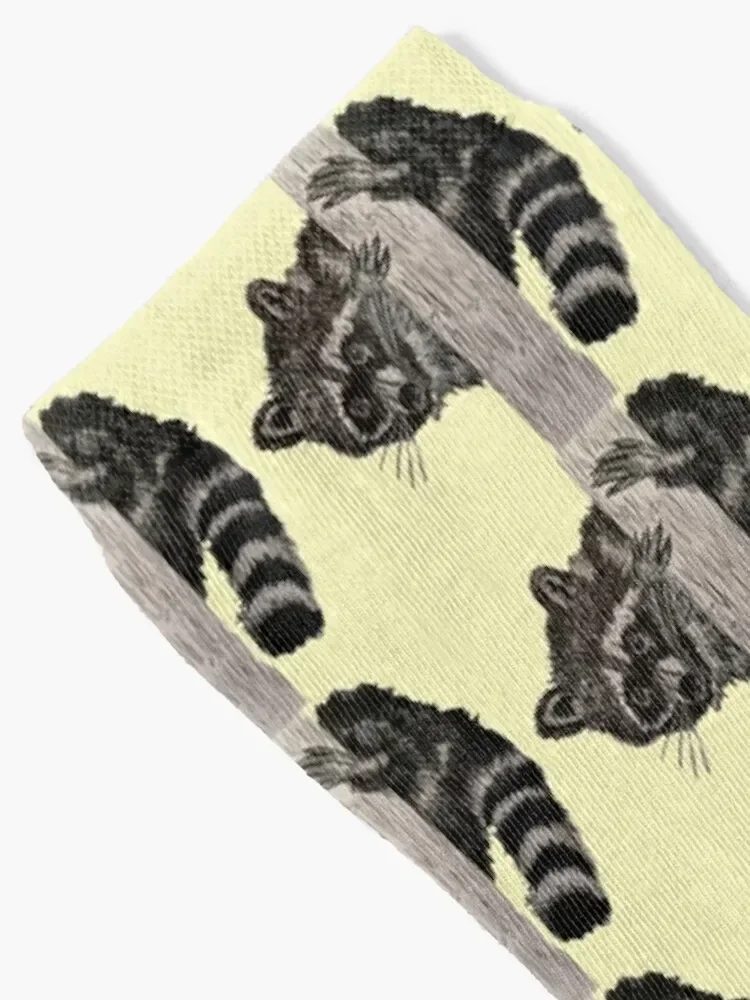 Raccoon Socks Rugby Non-slip Running aesthetic Male Socks Women's