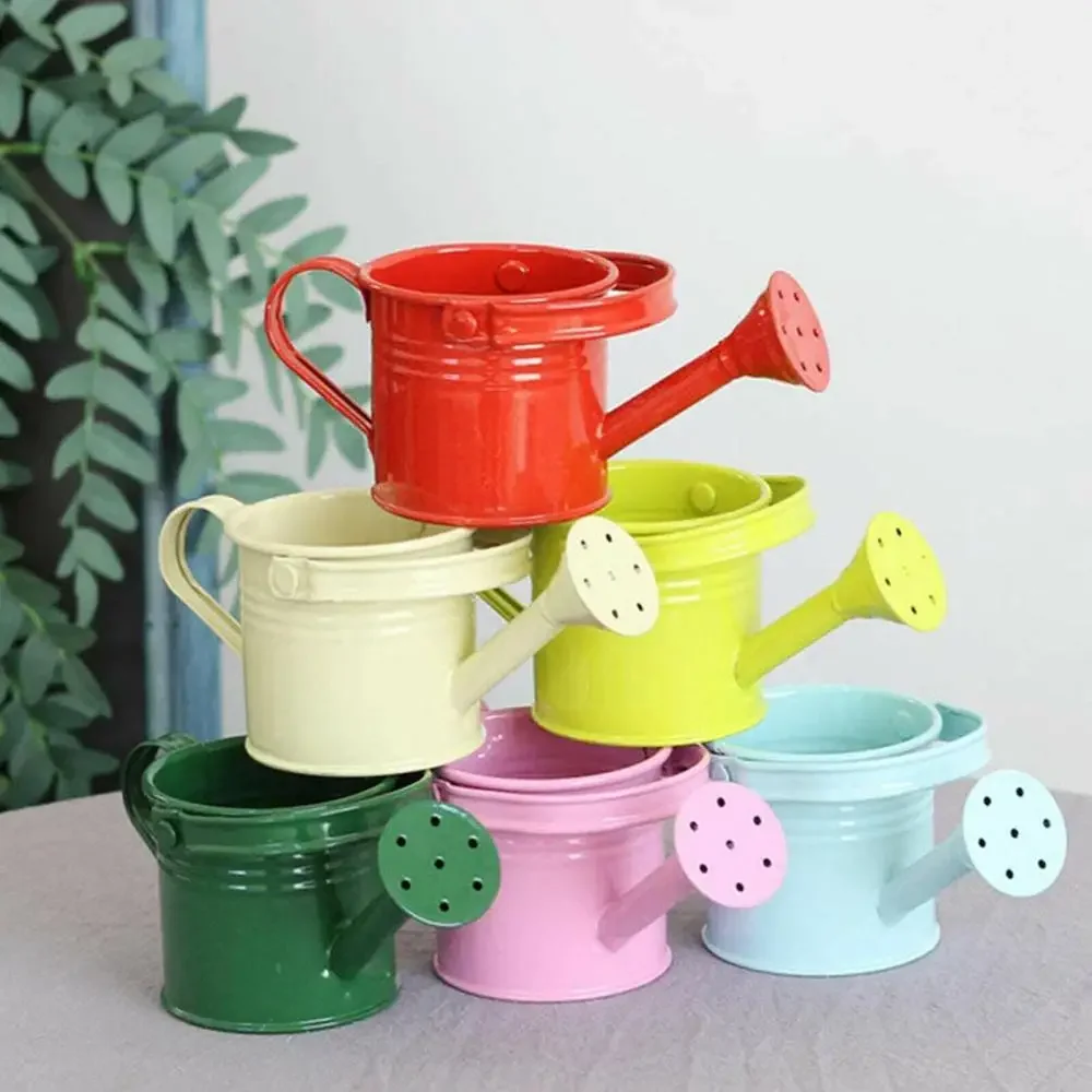 

1PC Metal Watering Can Garden Flower Kettle Mini Small Water Spraying Pot Sprinkle with Large Capacity For Kids Adult Jardin