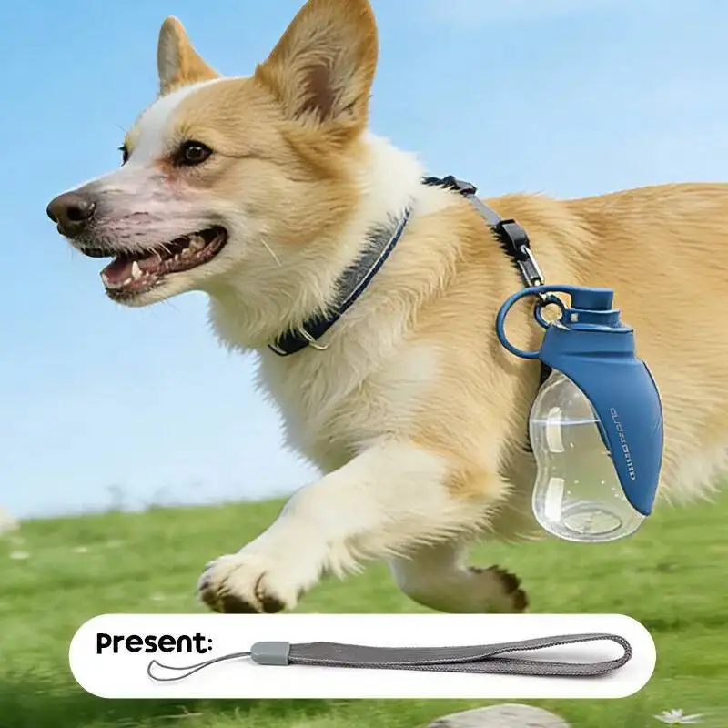 Thumbnail 2 - #26 Cheapest Collapsible Dog Bowls Deals You Can Get