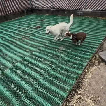 

for Grass Parking, Driveways, Parking, Turf Protection Grass Protection Mesh w/Accessories - 3'x50' Roll (150sf) - Reinforcement