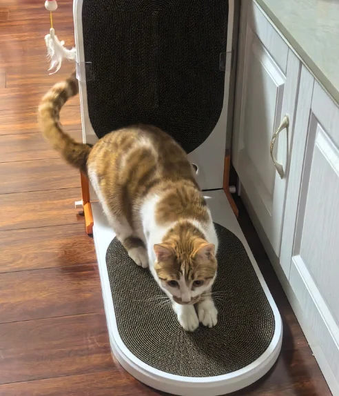 L Shape Foldable Cat Scratching Post with Cat Nest, Wear Resistant Anti-Chip Corrugated Cat Paw Board