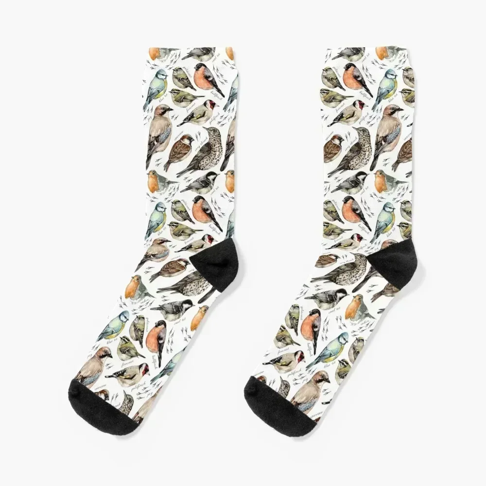 

British Birds Socks luxury winter Stockings compression kids Boy Child Socks Women's