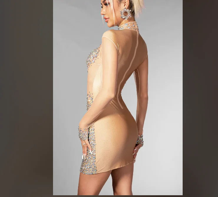 Blima Bodycon Crystal See Through Mesh Dress