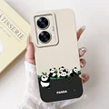 case-c06