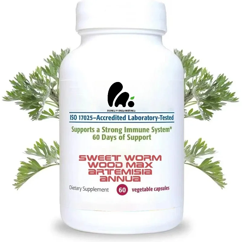 Sweet Wormwood Extract 500mg, Containing Vitamin C Intestinal Cleansing Supplement, Digestive and Immune Support, 60 Capsules