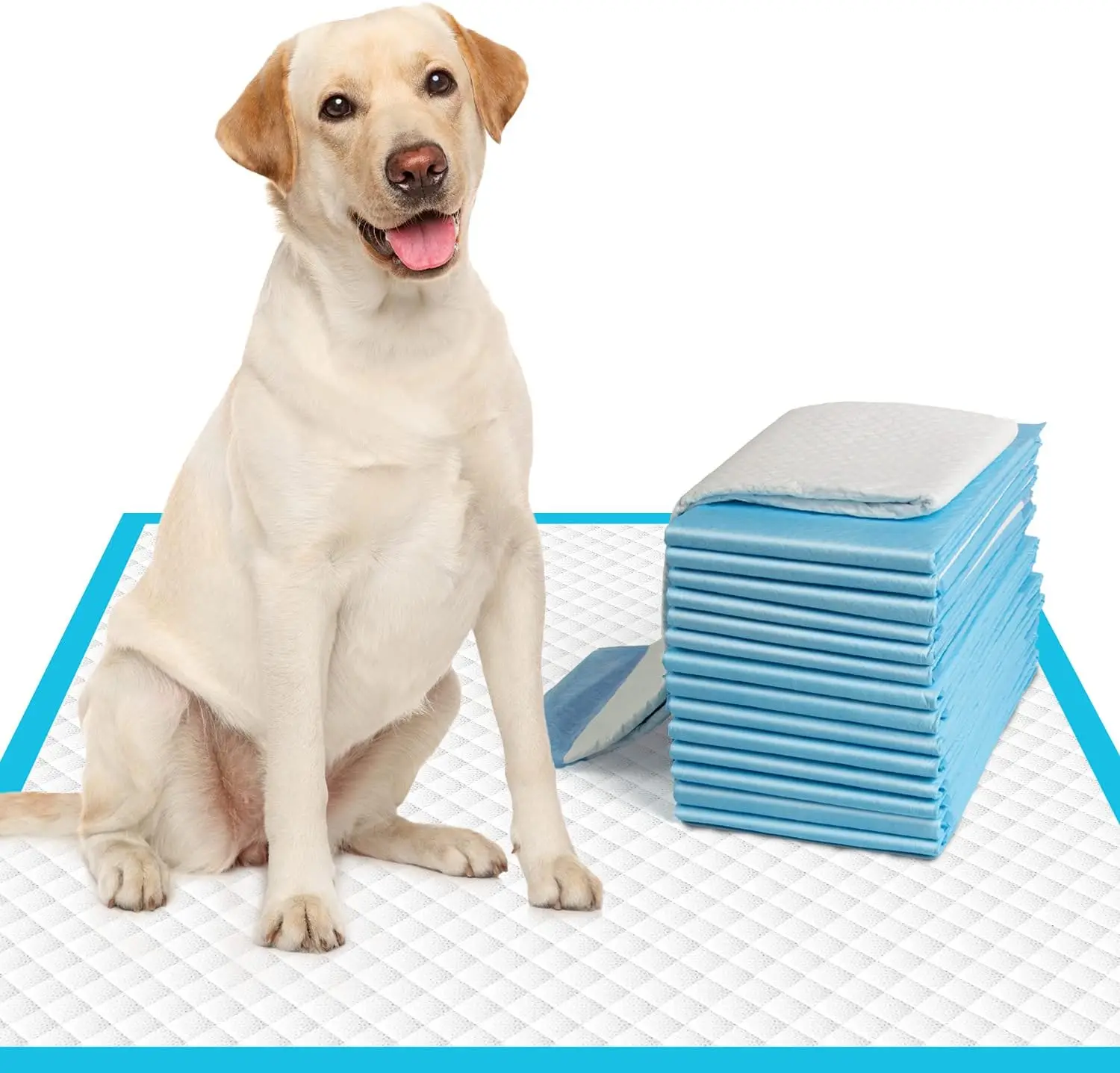 Coussinets de pipi extra larges pour chiens, 120 pièces, super absorbants et anti-fuite, pour entraînement de chiots