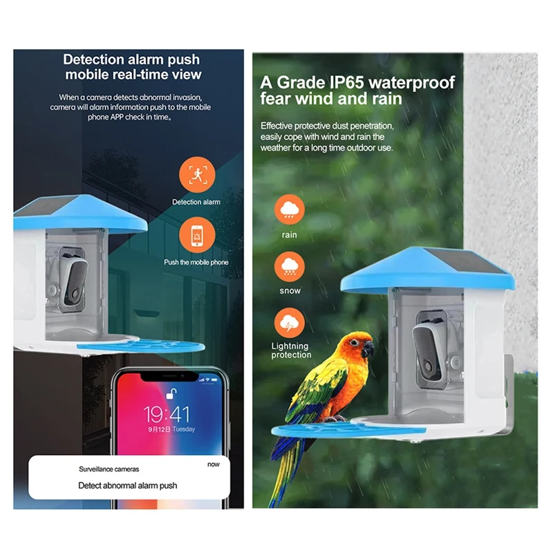 Mangiatoia per uccelli da giardino intelligente con fotocamera con sensore Monitoraggio della fauna selvatica abilitato AI Esperienza di birdwatching migliorata B