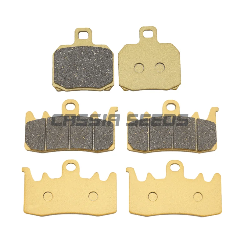 

Motorcycle brake pads for DUCATI 821 Hypermotard Monster 899 Panigale V2 Supersport 950 Supersport 950 939 959 1200