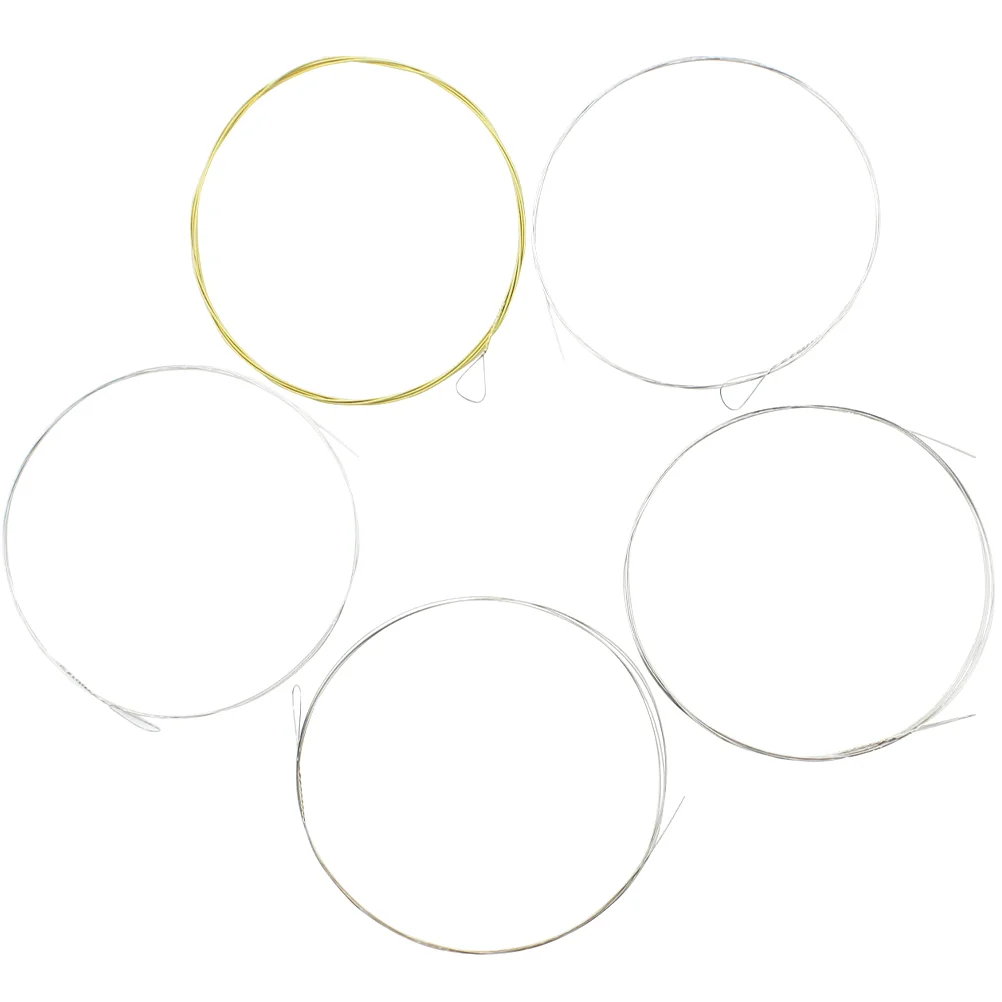 

5 Pcs Banjo Strings Replacing Accessories Part The Alloy Stringed Instrument Musical Repair