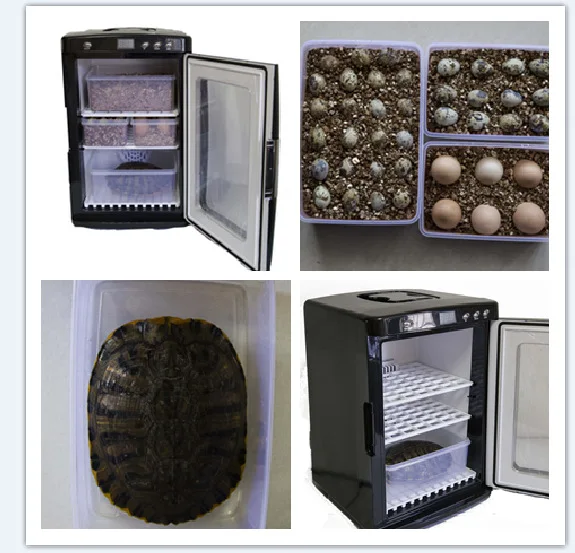 25L Black Digital Incubator for Chicken & Reptile Eggs 5-60°C Precise Cooling & Heating Efficient Plastic Design
