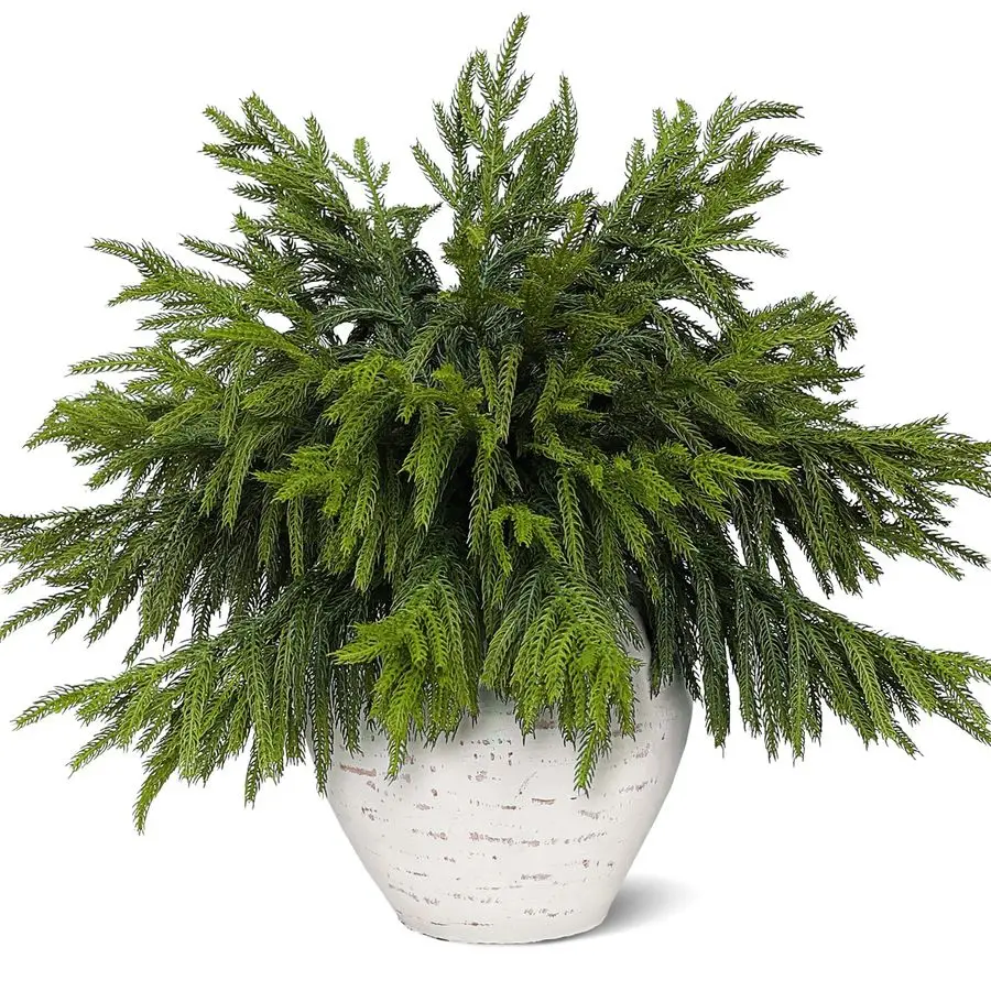 

20 шт. искусственных веток норфолкской сосны Real Touch, имитация зеленых растений, искусственная зелень, стебли, искусственные сосновые ветки для вазы, декор