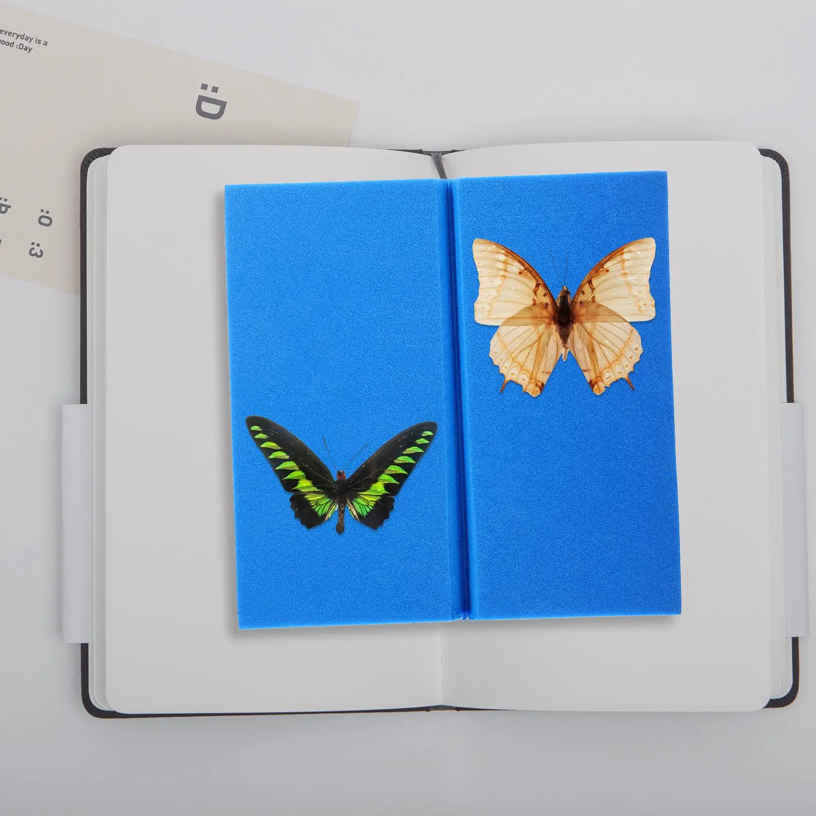 High Density Fin Spread Board Insect Butterfly Montage Spreading Eva Foam Specimen Pinning
