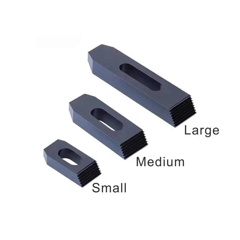 Straight Tooth Clam…