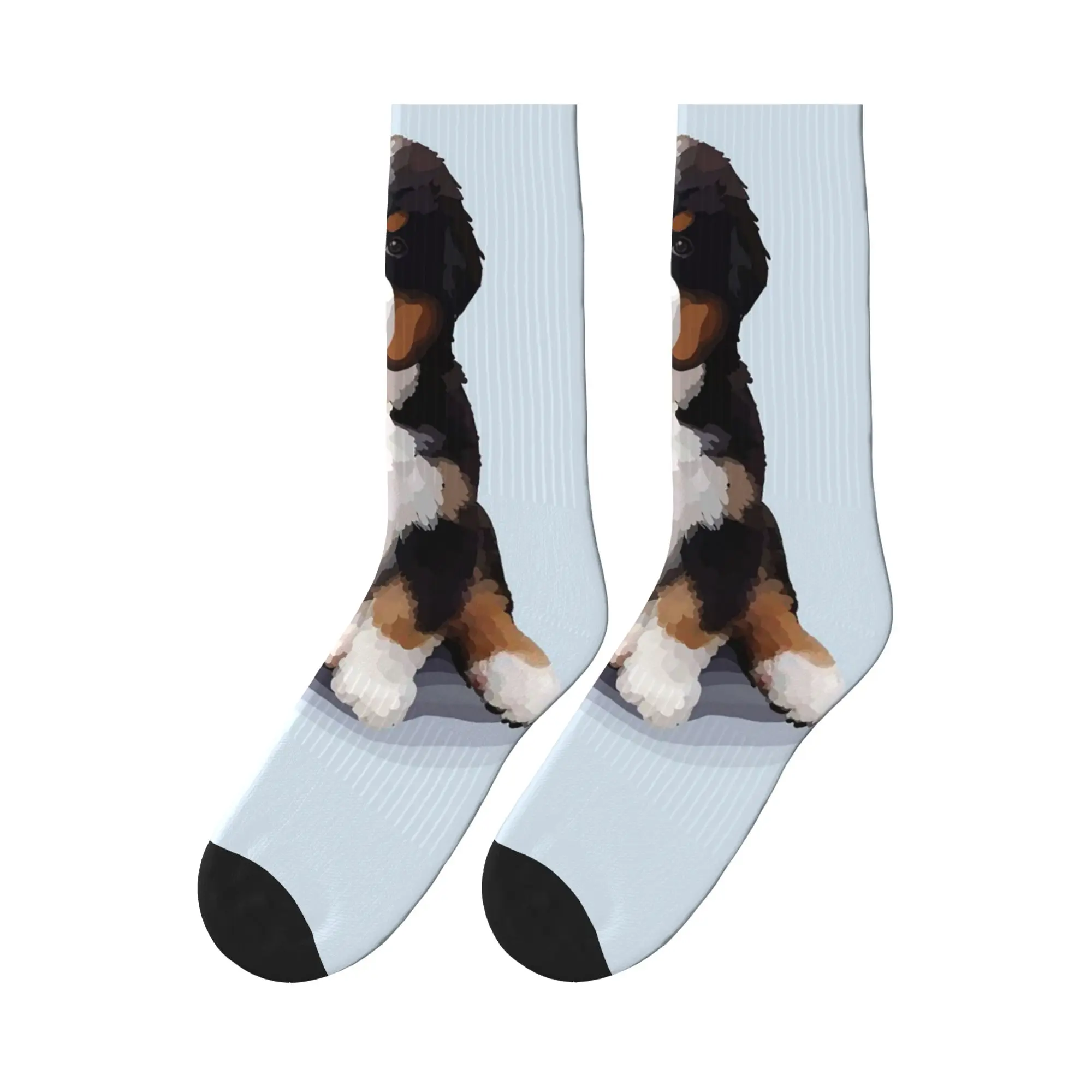 

Van Gogh Style Painting of Bernese Mountain Dog Sports Socks Super Soft Stockings All Season Long Socks for Man's Woman's