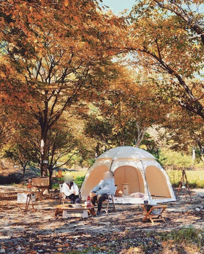 Outdoor Octagon Style Tent Extended Shape Big Space Dome TC Fabric Family Party Tent