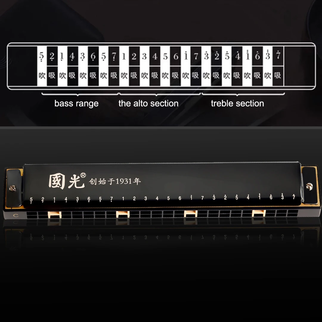 Guoguang Tremolo Harmonica 24 Hole C Mouth Organ Phosphor Bronze Blues Harp Beginner Harmonica Kit with Case for Kids - view 5