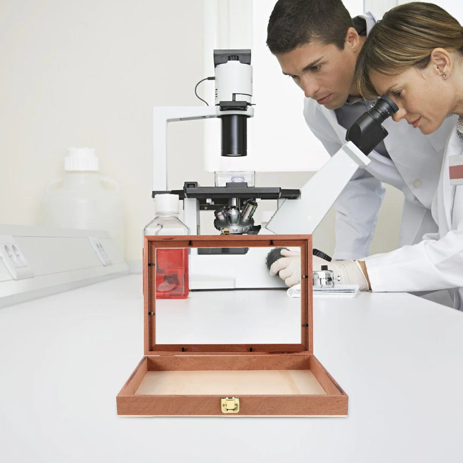 

Wooden Shadow Box Rectangular Design Dried Flowers Butterfly Specimens Glass Cover Elegant Storage Office Decor