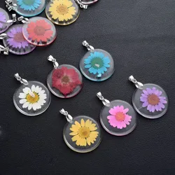 12Pcs Round Pressed Real Dried Flower Daisy Resin Charms Hibiscus Daffodils Plum Pendant for Jewelry Making Findings Necklace