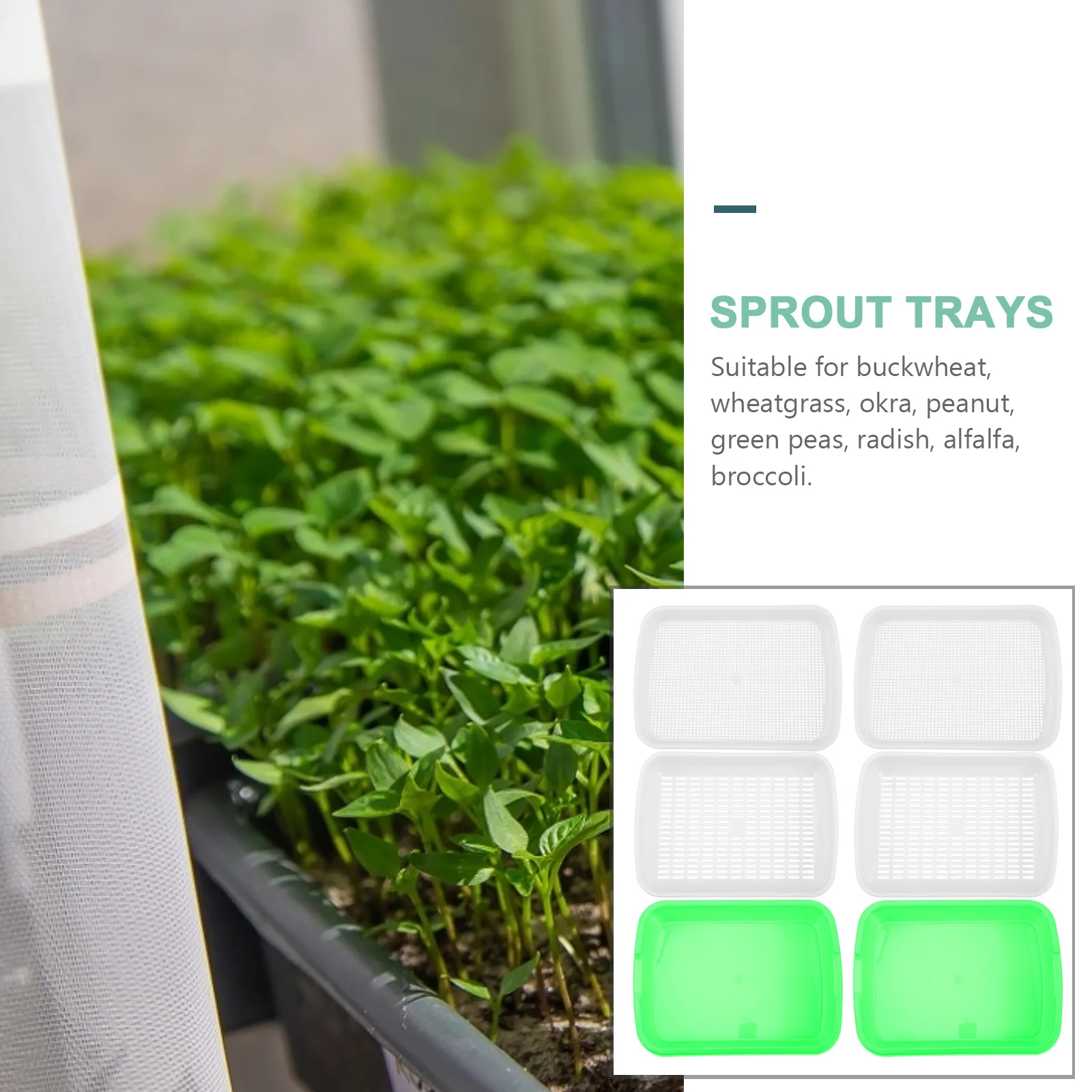 

1 комплект детского подноса, двухслойный стартовый поднос, многоразовый набор для проращивания сои, пшеничные бобы, лотки для ростков, выращивание пшеничной травы