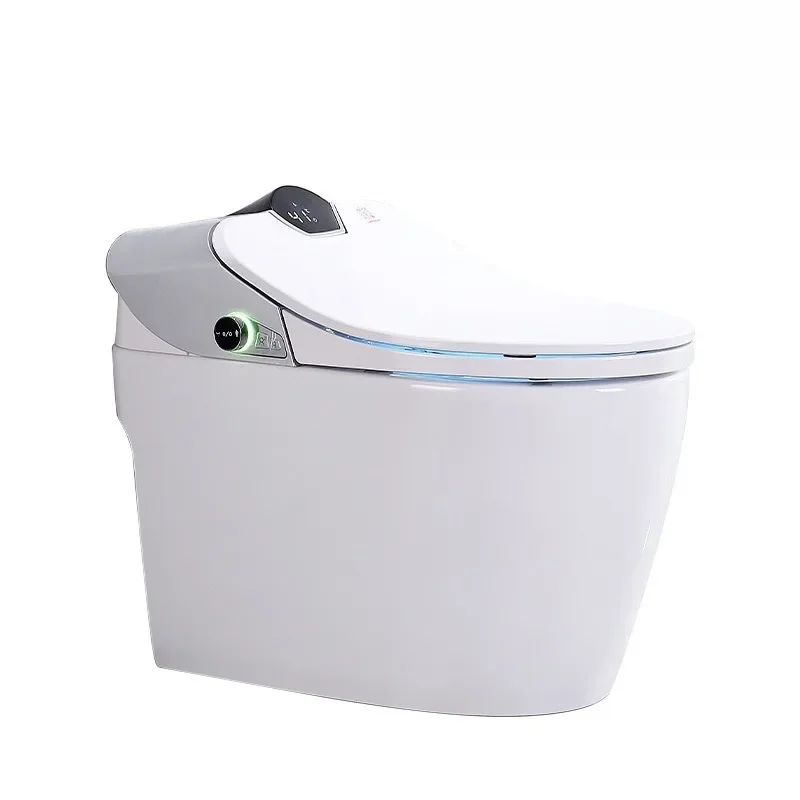 

Smart toilet, hip wash, warm air drying massage, double filter, multi-function, sanitary toilet with water tank Standard version