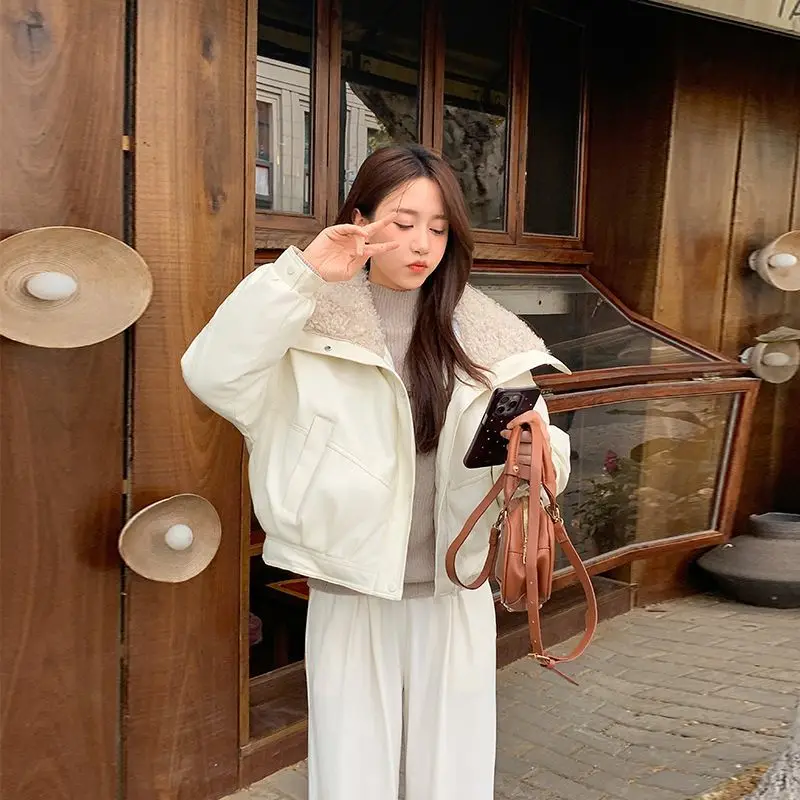 New Women's Imitation Sheepskin Cotton Clothes, Autumn Winter, Lamb Wool Down Cotton Jacket Female Turn Fur Collar Padded Jacket