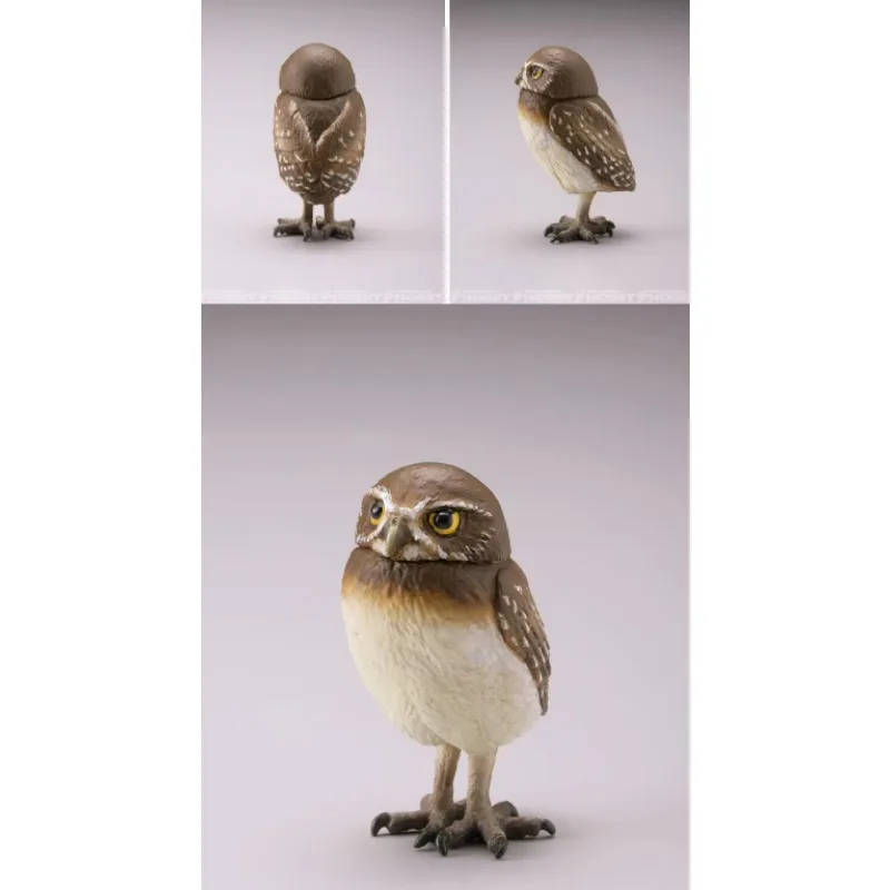 Original KAIYODO Blessed Owl Gashapon Qversion Mini Animal Action Figure Model Toys Gifts Cartoon Character Collection Ornament