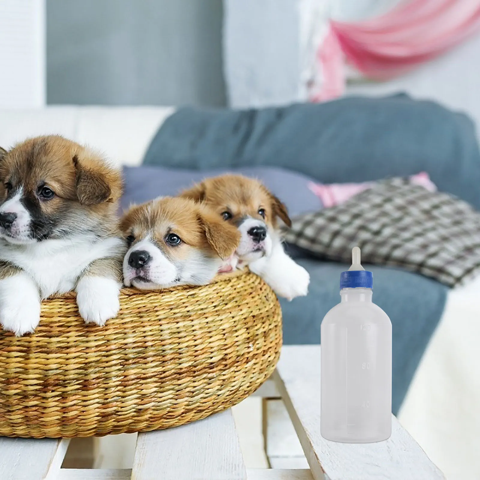 

5 Pcs Dog Nursing Bottles Lightweight Portable Cat Feeders Plastic Pet Feeding Supplies Household Below 40 Degrees High Quality
