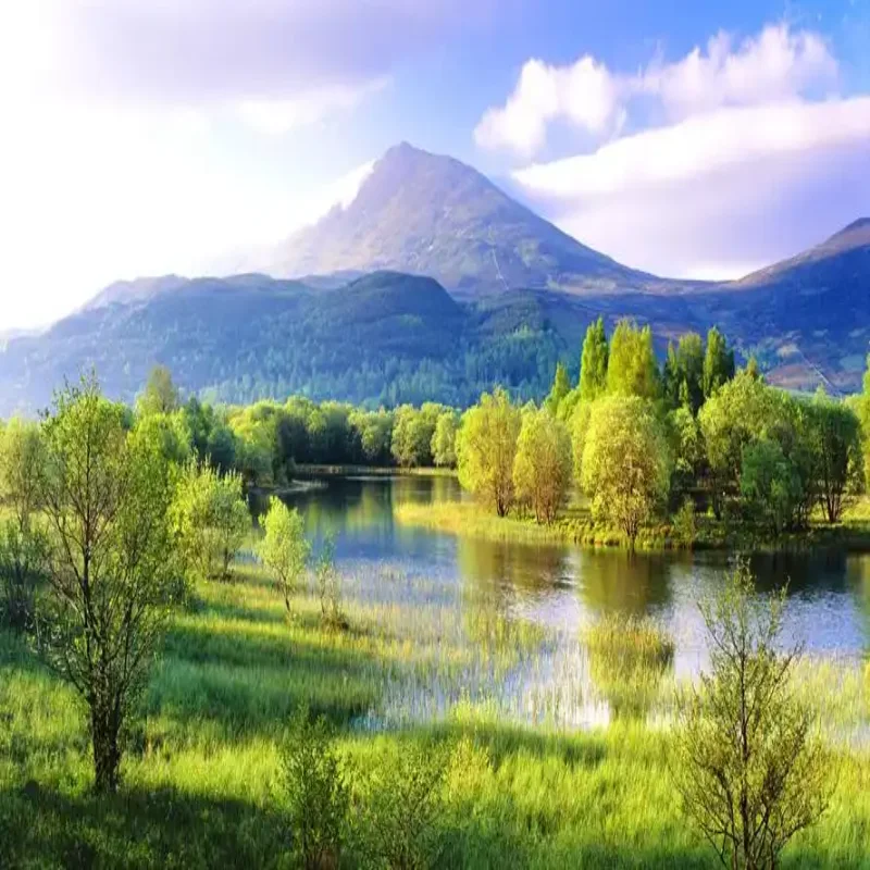 

For Mazda CX-3 CX3 2016-2023 Electric Tailgate Modified Automatic Lifting Electric Motor for Trunk Car Assecories Tools Baseus