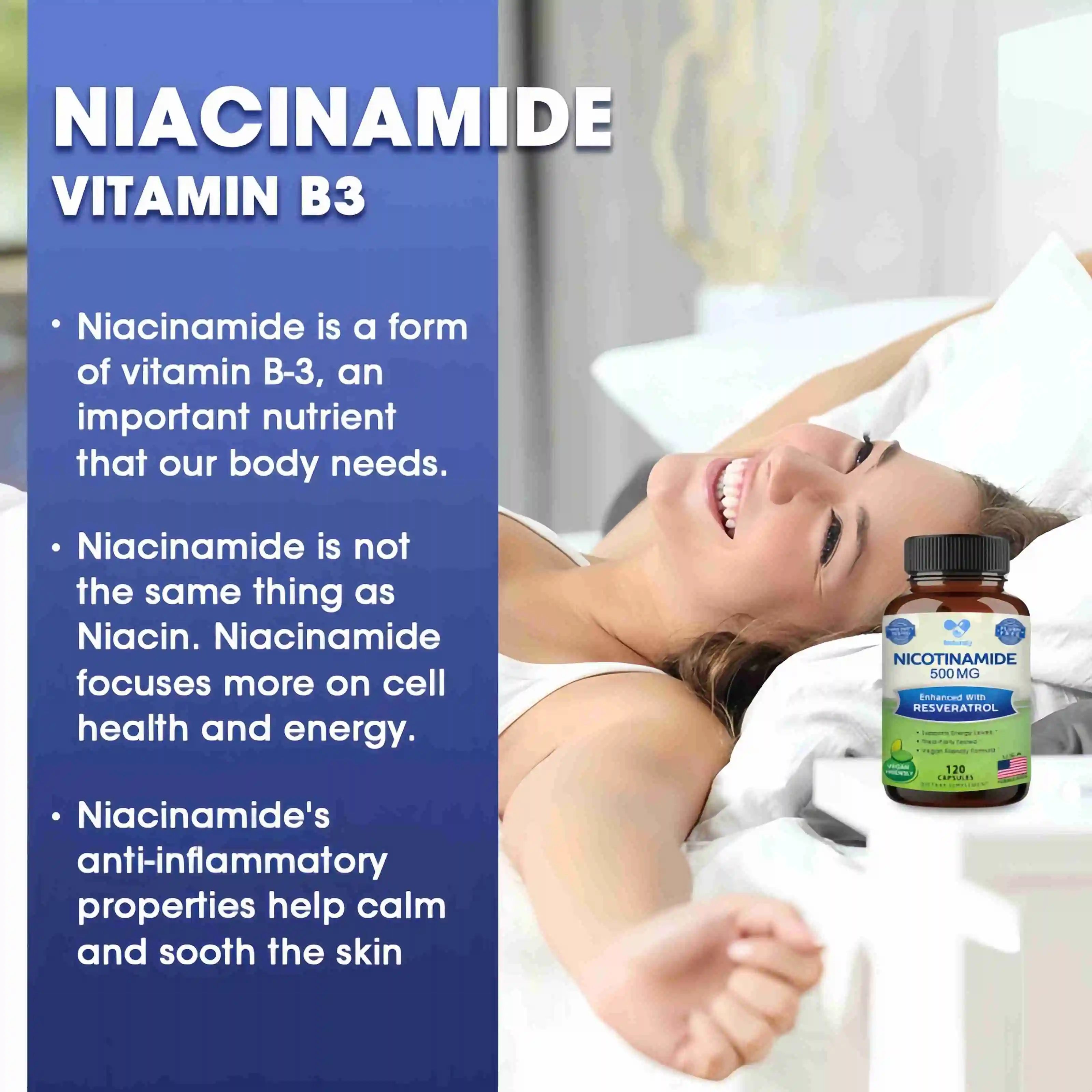 Nicotinamide 500mg Antioxidant Nicotinic Amide Niacin Natural Flush-Free Vitamin Formula Supports Skin Body Health Gel