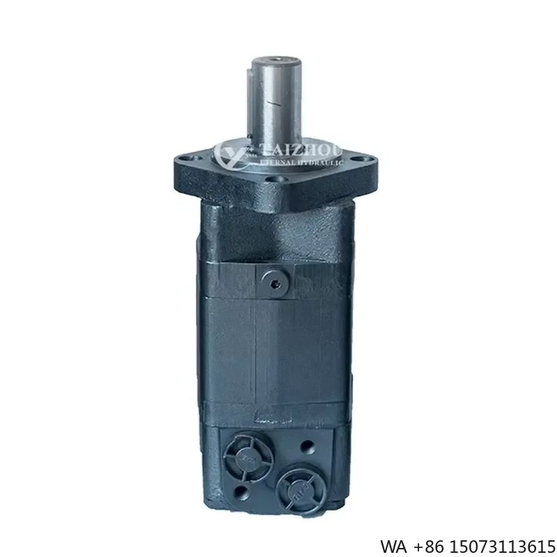 for Etlhyd Low Speed High Torque Hydraulic Motor for White Drive Truck WP Series RS Series CE Series Made in China