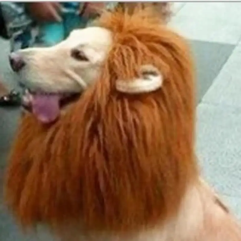 Pet Dog Lion Mane Wig Hair Decor Dog Wig Hair Costume For Large Medium Small Dog Halloween Gift Cosplay Funny Hat Pet Apparel