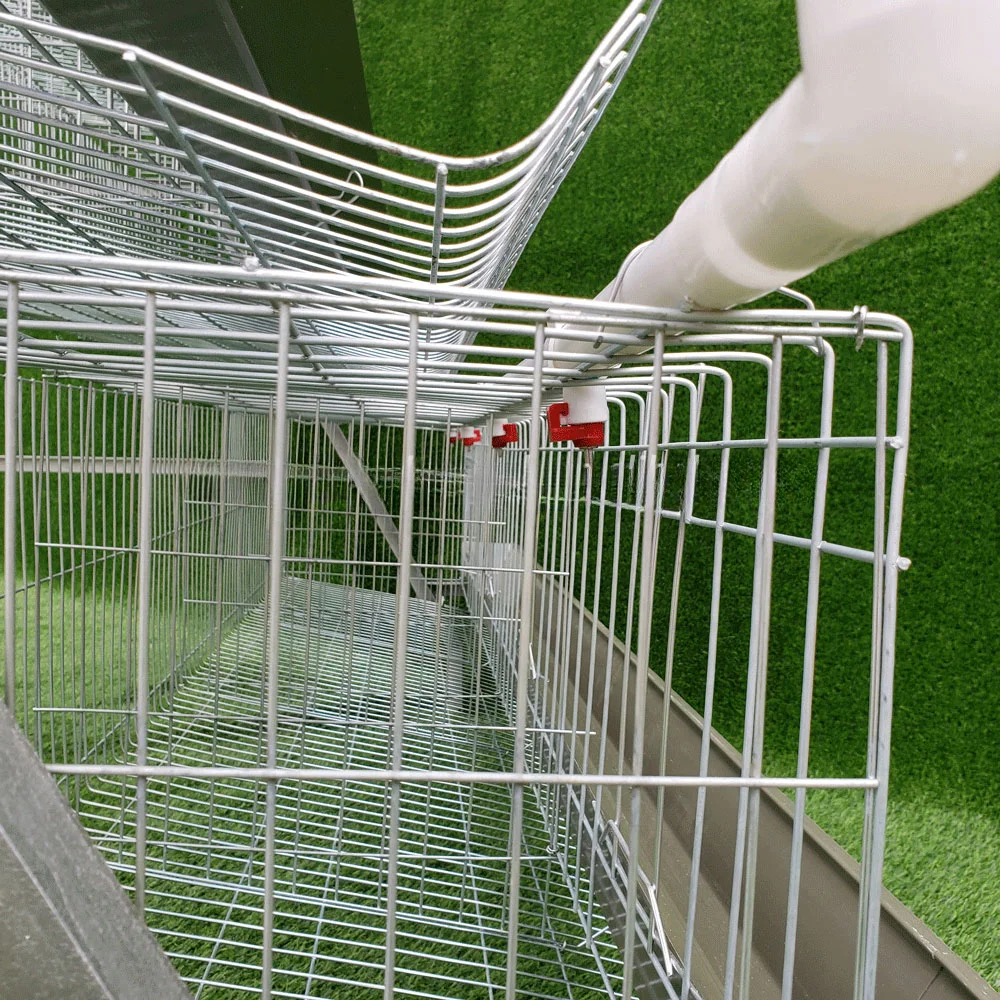 A Type Galvanized Automatic Chicken Cages Layer Poultry Cage For Farming Equipment