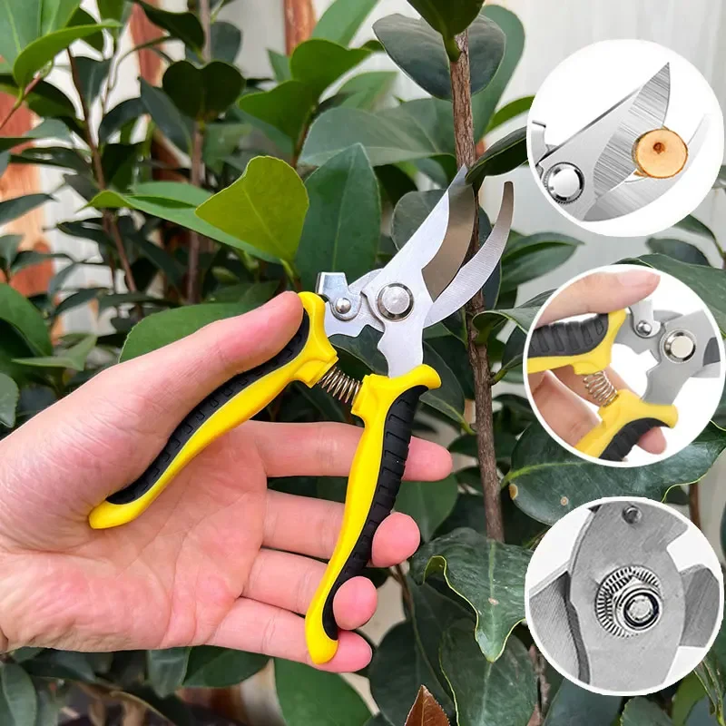 

Summer Pruner Garden Scissors Spring Professional Sharp Bypass Bonsai Pot Pruning Shears Tree Trimmers Secateurs Manual Tools