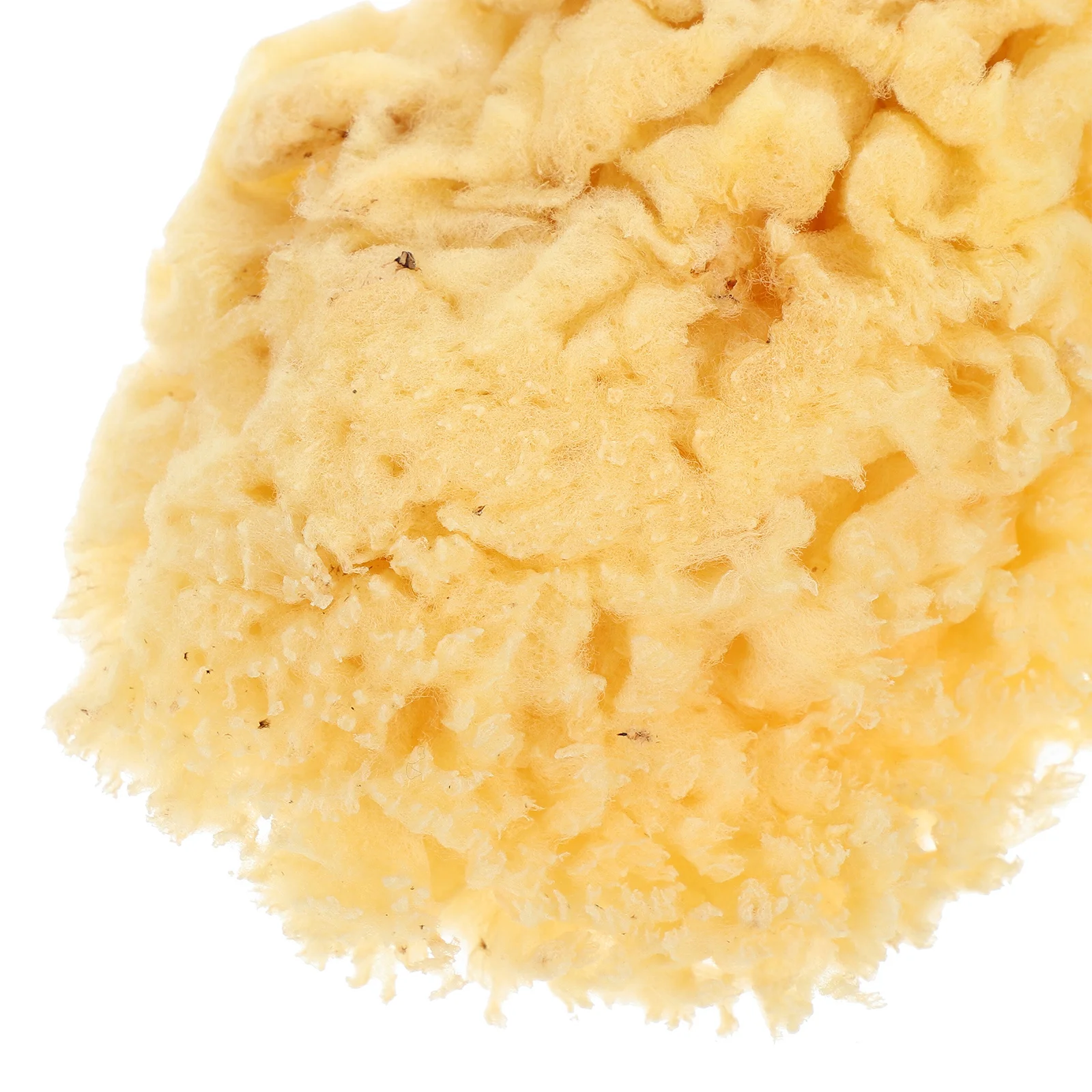 Natural Sea Sponge 2.0-2.5 Inch Art Sponge For Watercolor Acrylic Texture Painting Projects Reusable Painting