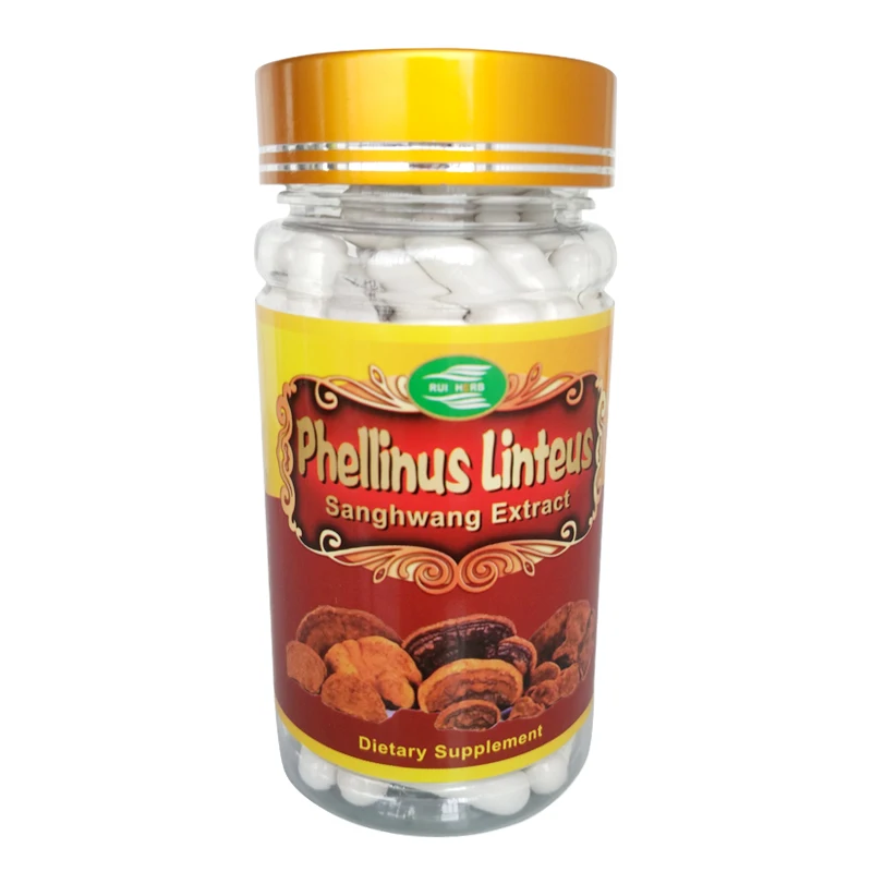 

1Bottles Phellinus Linteus Mushroom Extract 500mg x 90Capsule Antioxidant Activity & Immune System Support