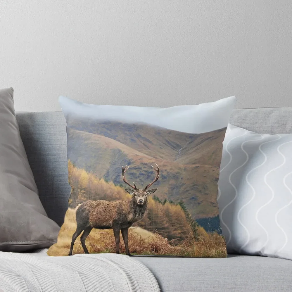 

Monarch of the Glen Throw Pillow pillow pillowcase Pillows Aesthetic Pillowcases For Pillows Couch Cushions