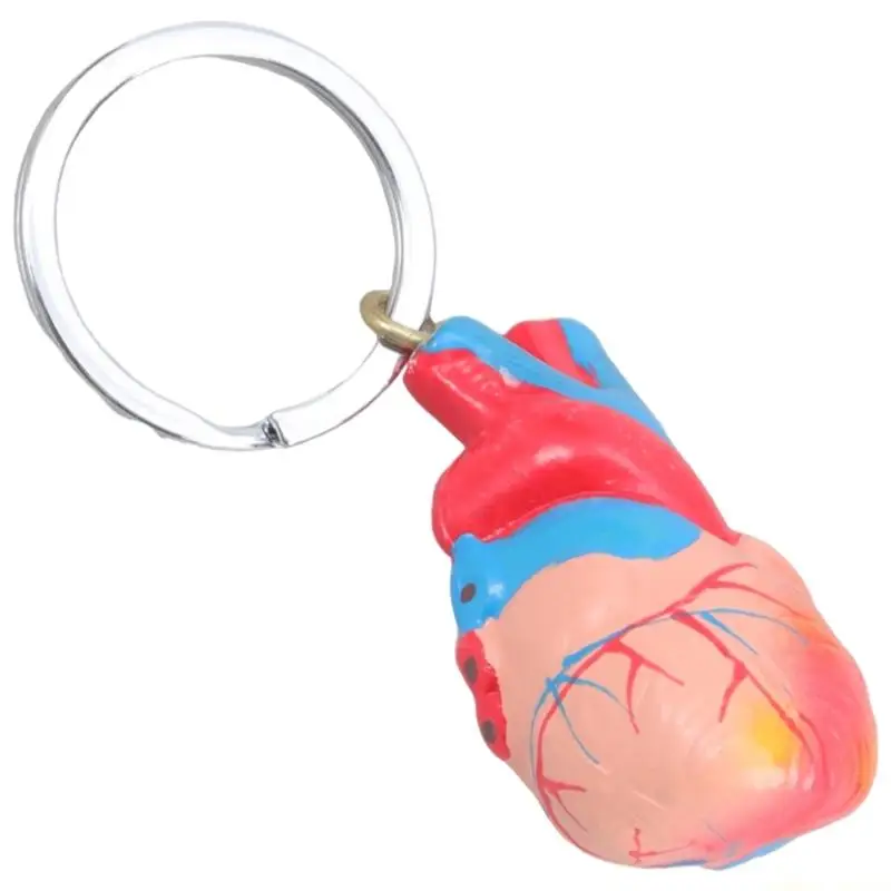 31BF Student Gift Heart Keychain Detailed Model Compact Learning Aid Decoration