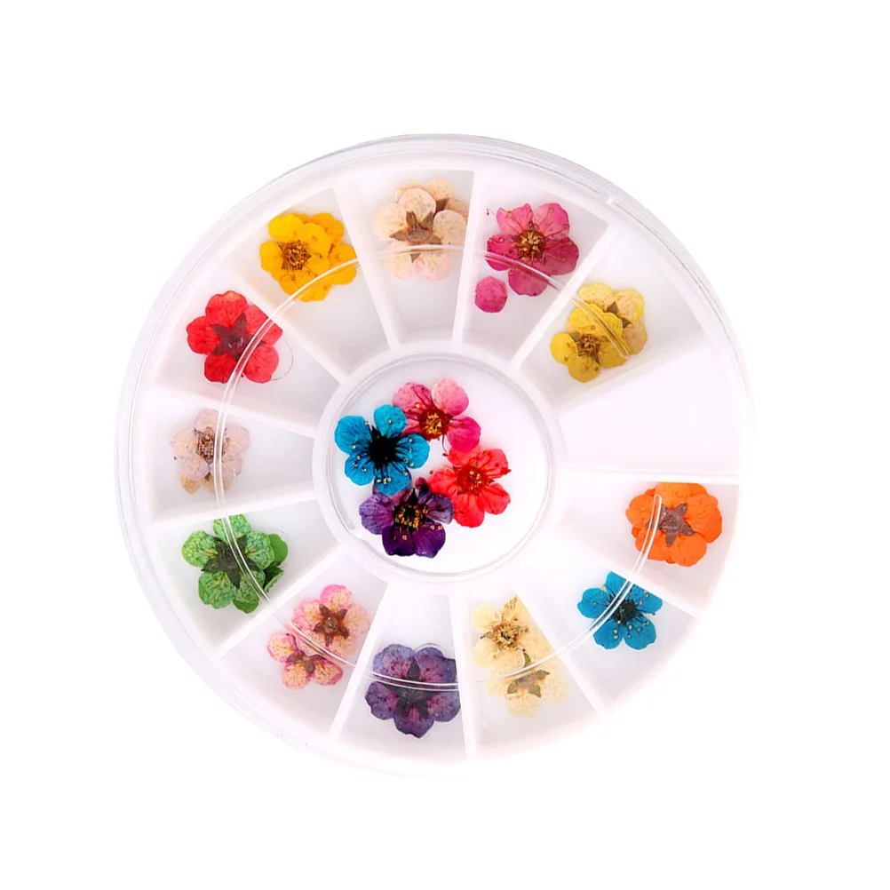 말린 꽃 예술 장식 혼합 색상 네일 디자인을 위한 미니 꽃 휴대용 매니큐어 액세서리 3D 네일 아트