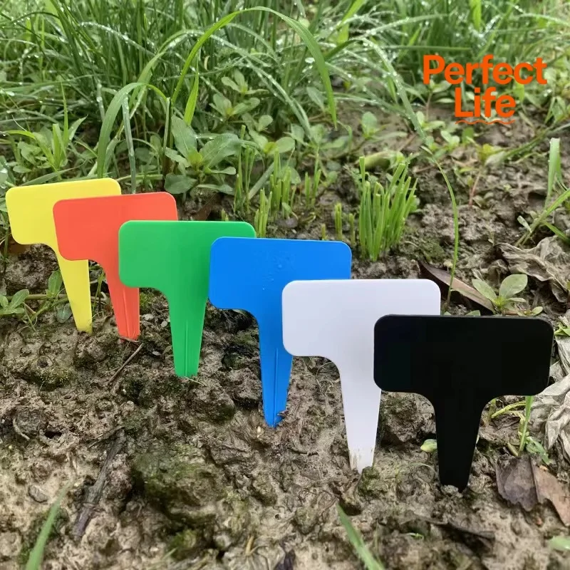 50/100pcs White Plastic PVC Plant T-type Tags Markers Nursery Garden Labels Seedling Tray Pots Decoration Garden Labels