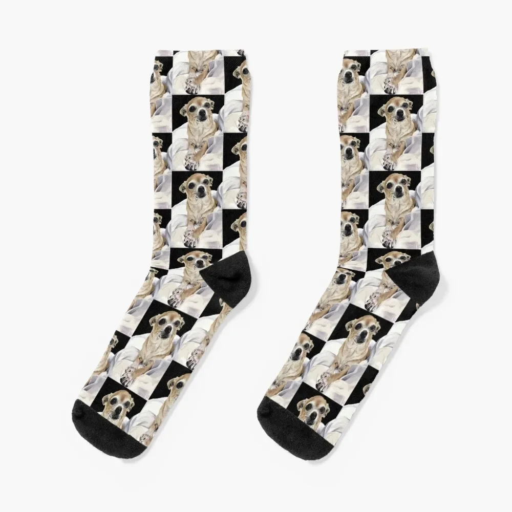 Chihuahua - Digital w/ background Socks Rugby Crossfit funny gifts Socks For Men Women's