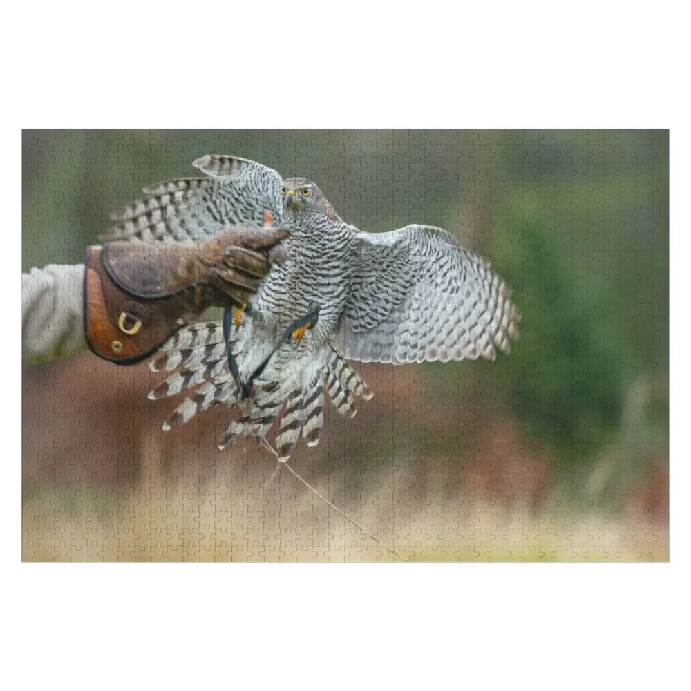 Young Goshawk in training Jigsaw Puzzle Personalized Wooden Name Jigsaw For Kids Puzzle