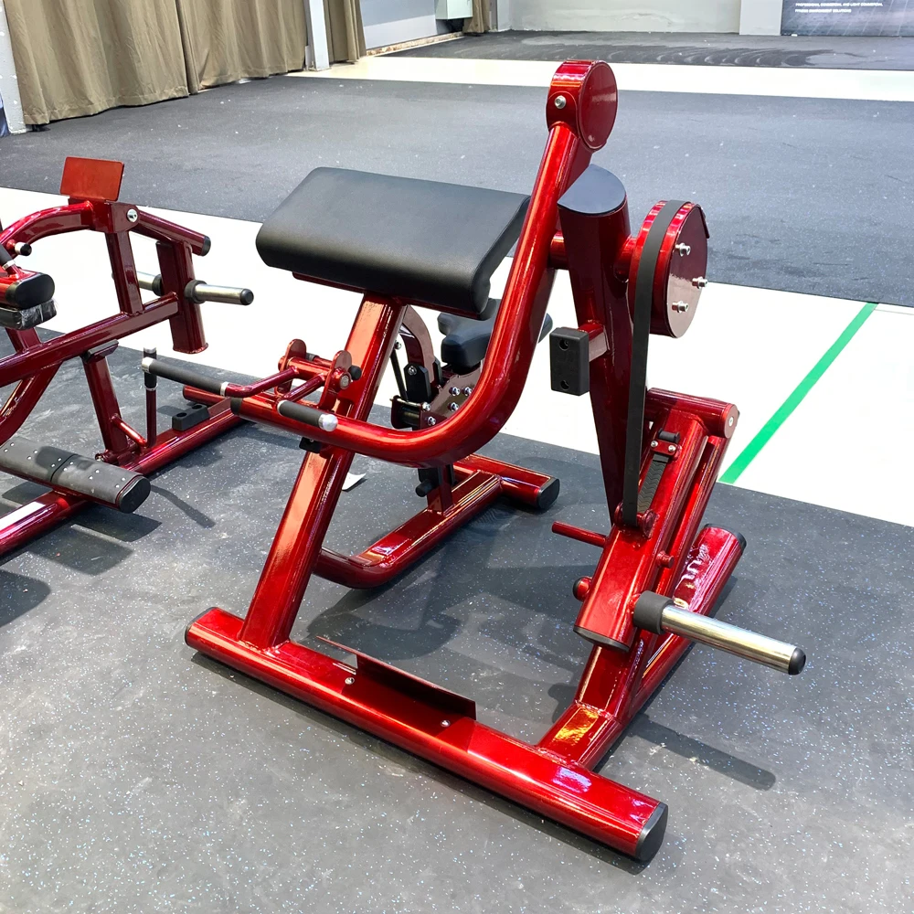 8309 Plate Loaded Commercial Gym Equipment Arm Curl Biceps Exercise Strength Training Seated Biceps Curl Machine