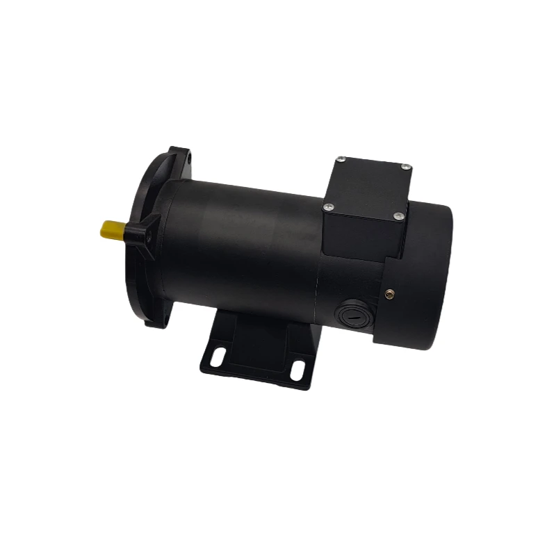 

High Quality 123ZYT 1HP 750W 24V DC Permanent Magnet Brushed Motor Electric Brushed DC Motor Forced air Cooling Motors
