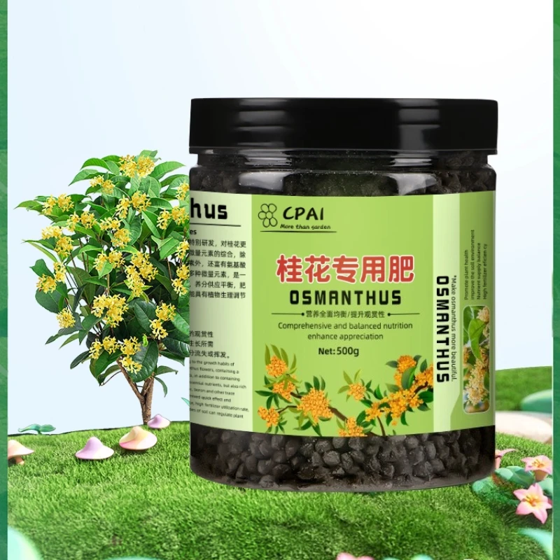 Osmanthus Tree Specific Flower Promotion and Cultivation Family Gardening Potted Plants Universal Compound Fertilizer