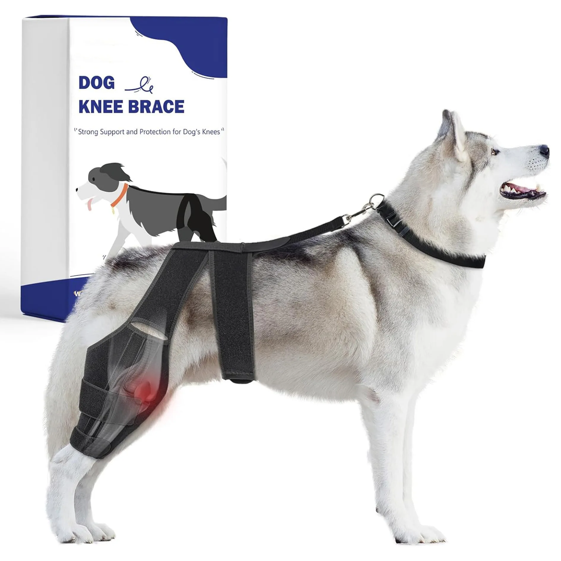 

Поддержка травм ноги собаки, шина для поддержки задних и передних ног для защиты коленного сустава, слинг для восстановления лапша собаки