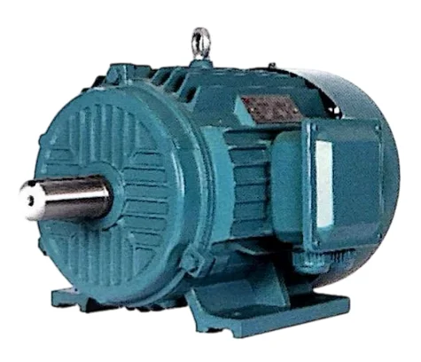 

High Efficiency Energy Saving Pole Changing Multi Speed Three Phase Asynchronous Motors Mining Motors Customizable